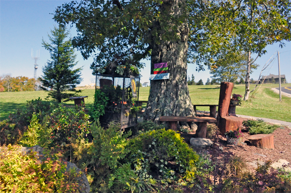 garden display